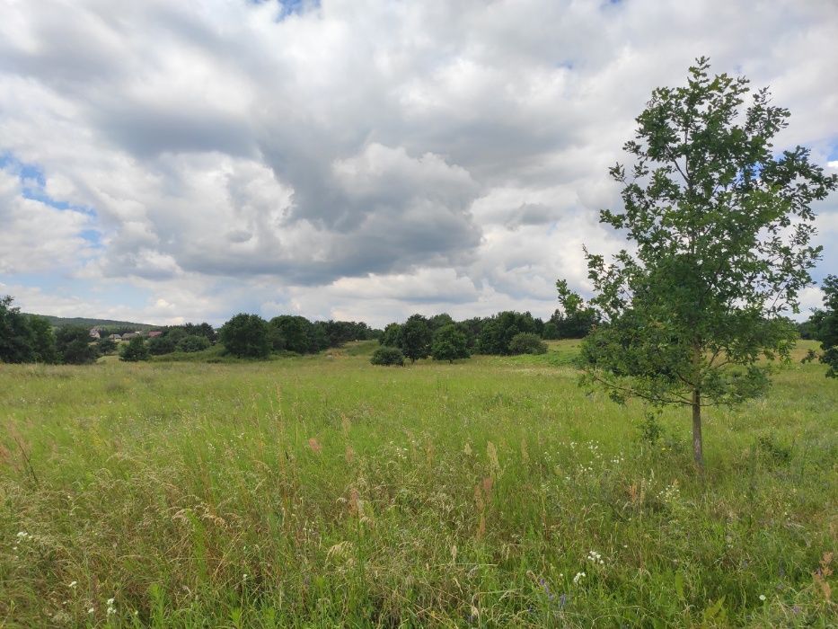 dom wolnostojący Kielce, ul. Ślazy. Zdjęcie 7