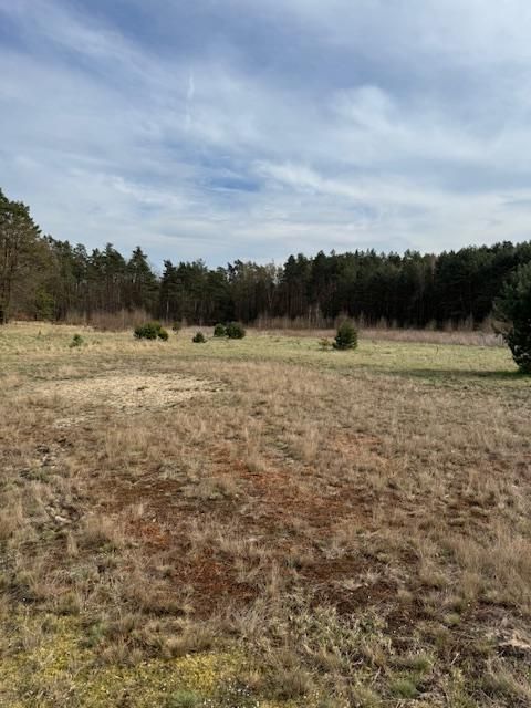 Działka rolno-budowlana Gola Wielka. Zdjęcie 10