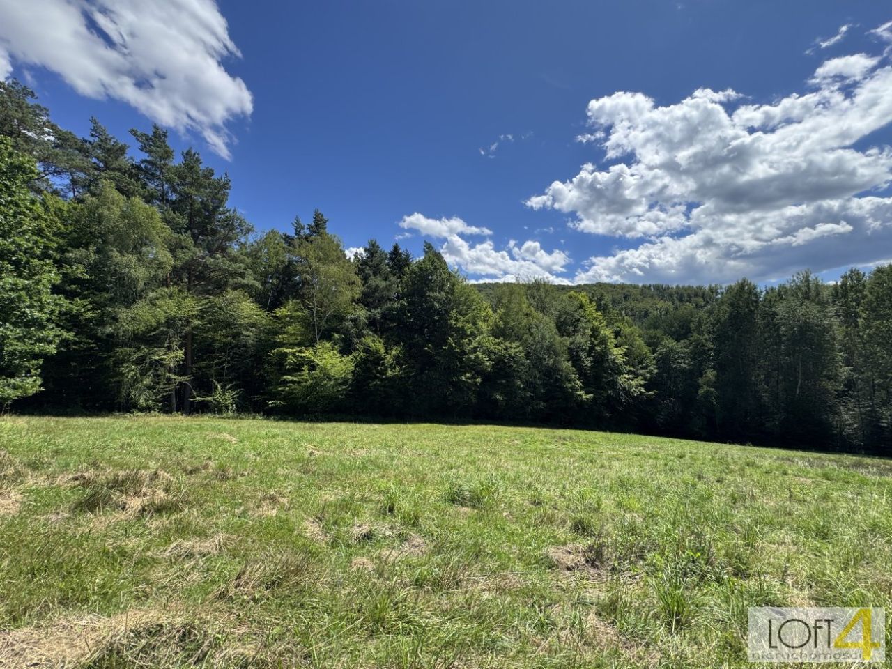 Działka budowlana Paleśnica. Zdjęcie 13