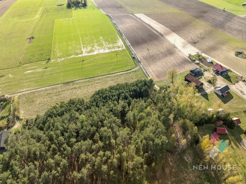 Działka budowlana Świętajno, ul. Grunwaldzka. Zdjęcie 7