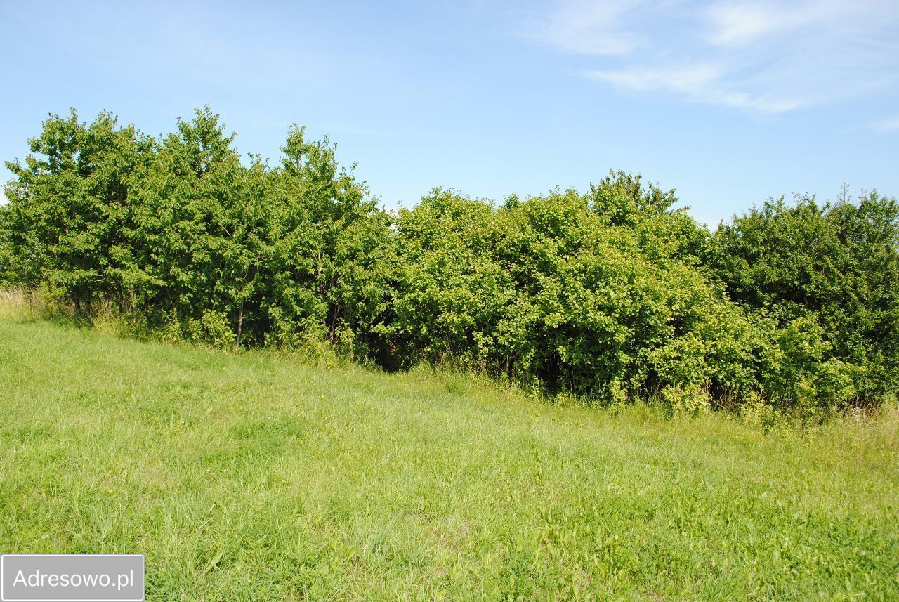 Działka budowlana Marcinkowo. Zdjęcie 2