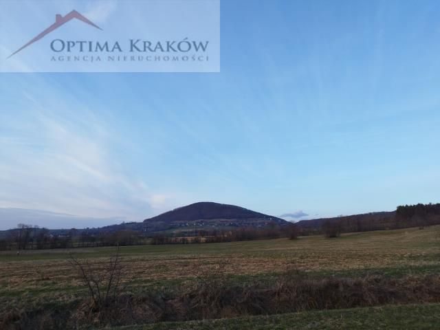 Działka rolna Wiśniowa. Zdjęcie 1