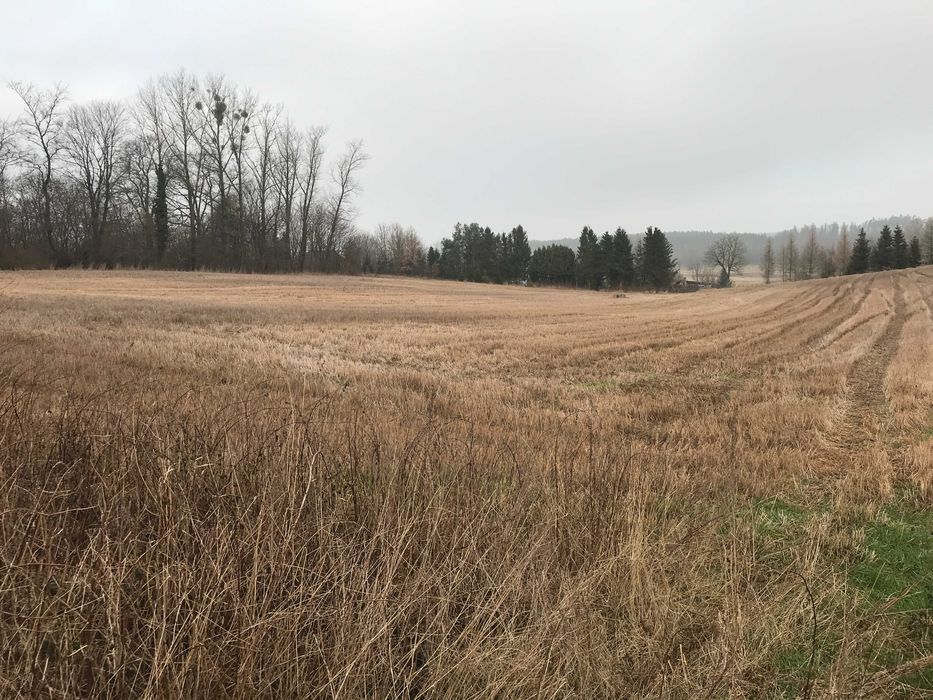 Działka rolno-budowlana Dobieszewo. Zdjęcie 1