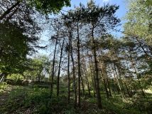 Działka rolno-budowlana Małe Leźno. Zdjęcie 2