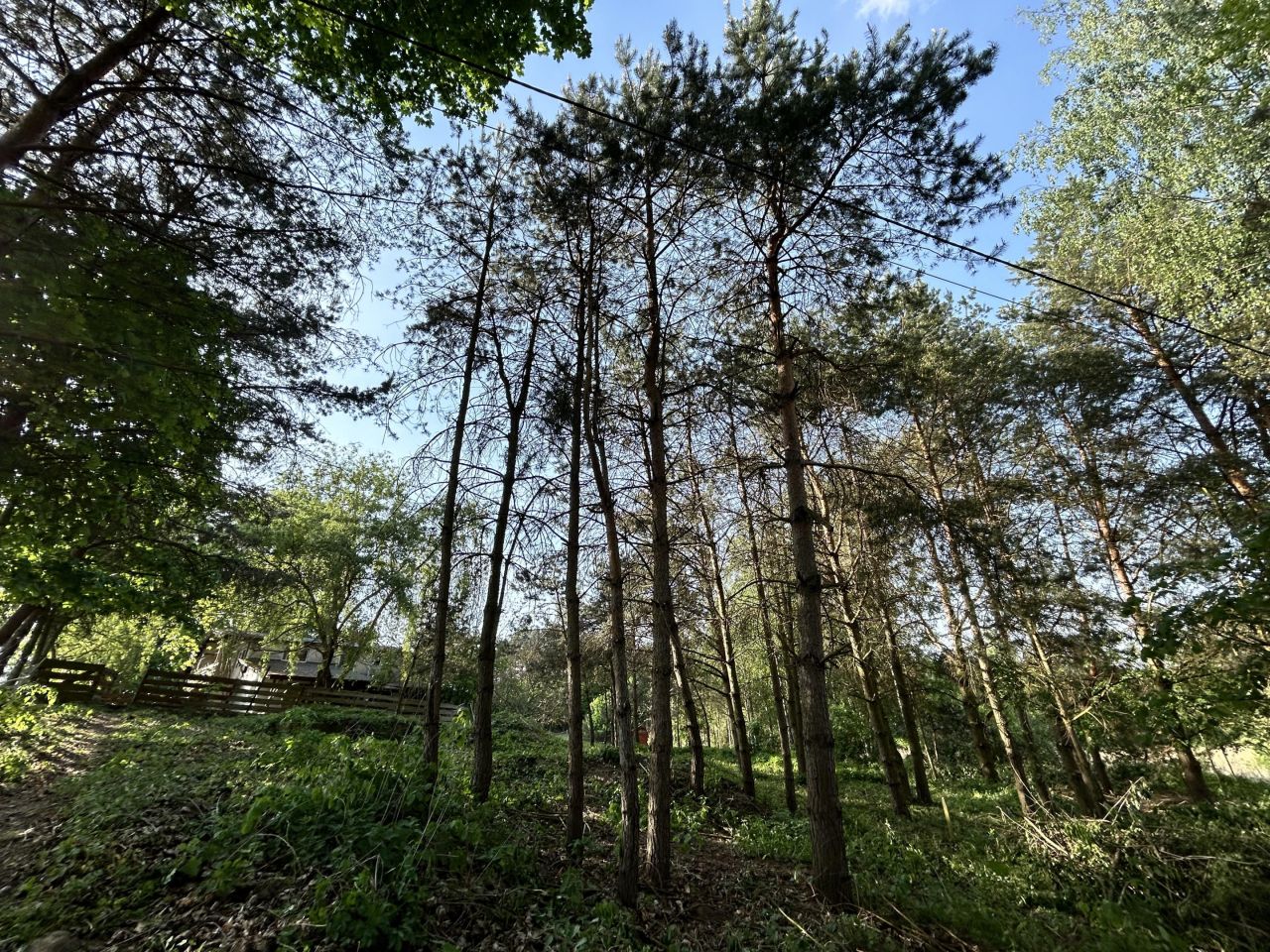 Działka rolno-budowlana Małe Leźno. Zdjęcie 3