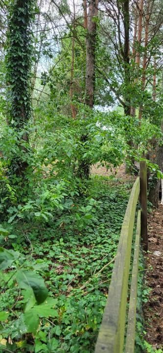 Działka rod Polkowice. Zdjęcie 3