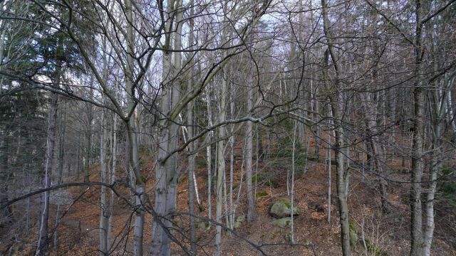 Hotel/pensjonat Szklarska Poręba, ul. Wesoła. Zdjęcie 9