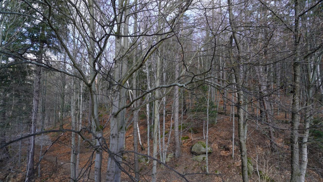 Hotel/pensjonat Szklarska Poręba, ul. Wesoła. Zdjęcie 9