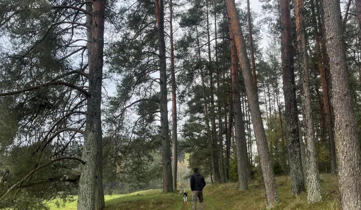 Działka rolna Otnoga Dęby