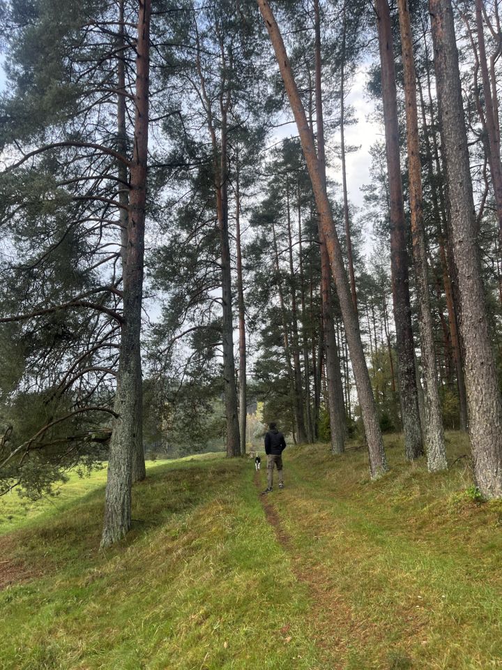 Działka rolna Otnoga Dęby. Zdjęcie 1