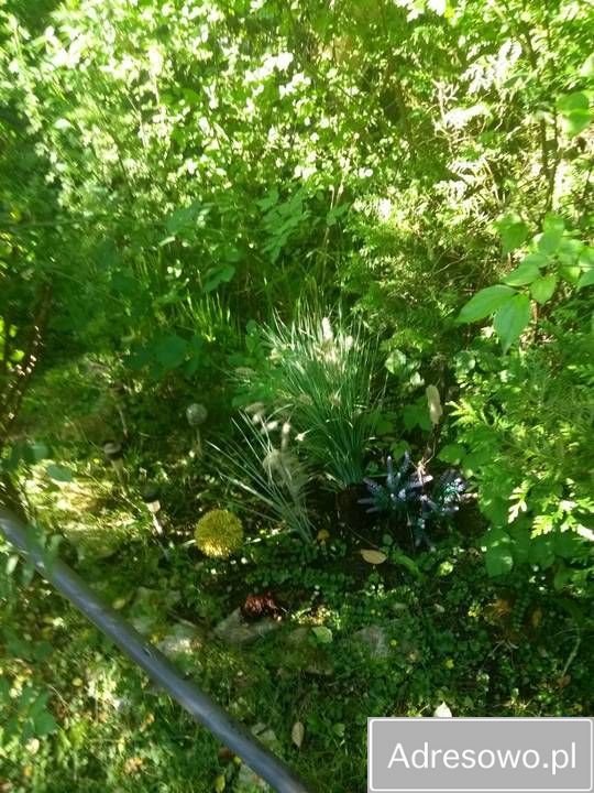 Działka rod Kielce. Zdjęcie 2