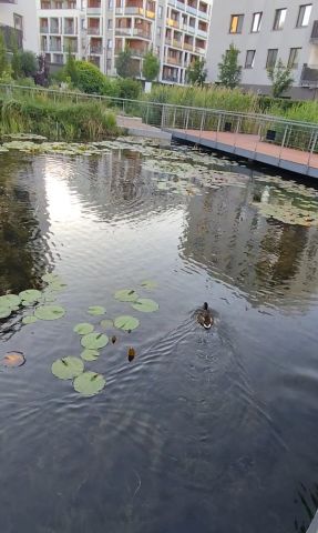 Mieszkanie 3-pokojowe Warszawa Ursynów, ul. Kłobucka. Zdjęcie 1