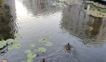 Mieszkanie 3-pokojowe Warszawa Ursynów, ul. Kłobucka