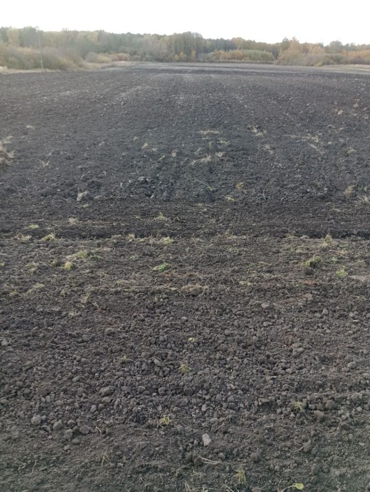 Działka rolna Niewirków. Zdjęcie 6