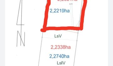 Działka rolna Chojewo Chojewo-Kolonia