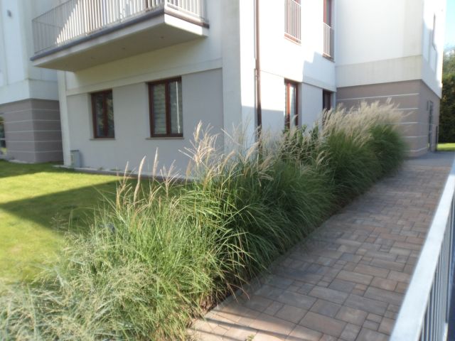 Mieszkanie 3-pokojowe Warszawa Wilanów, ul. Ruczaj. Zdjęcie 9