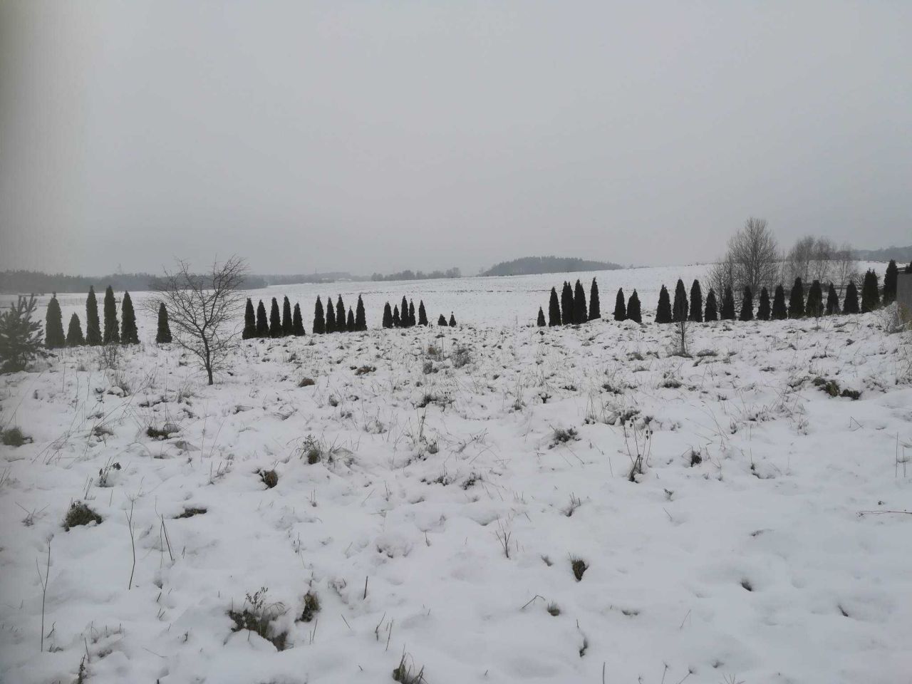 Działka budowlana Lubieszyn. Zdjęcie 5