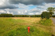 Działka rolno-budowlana Lasek. Zdjęcie 4