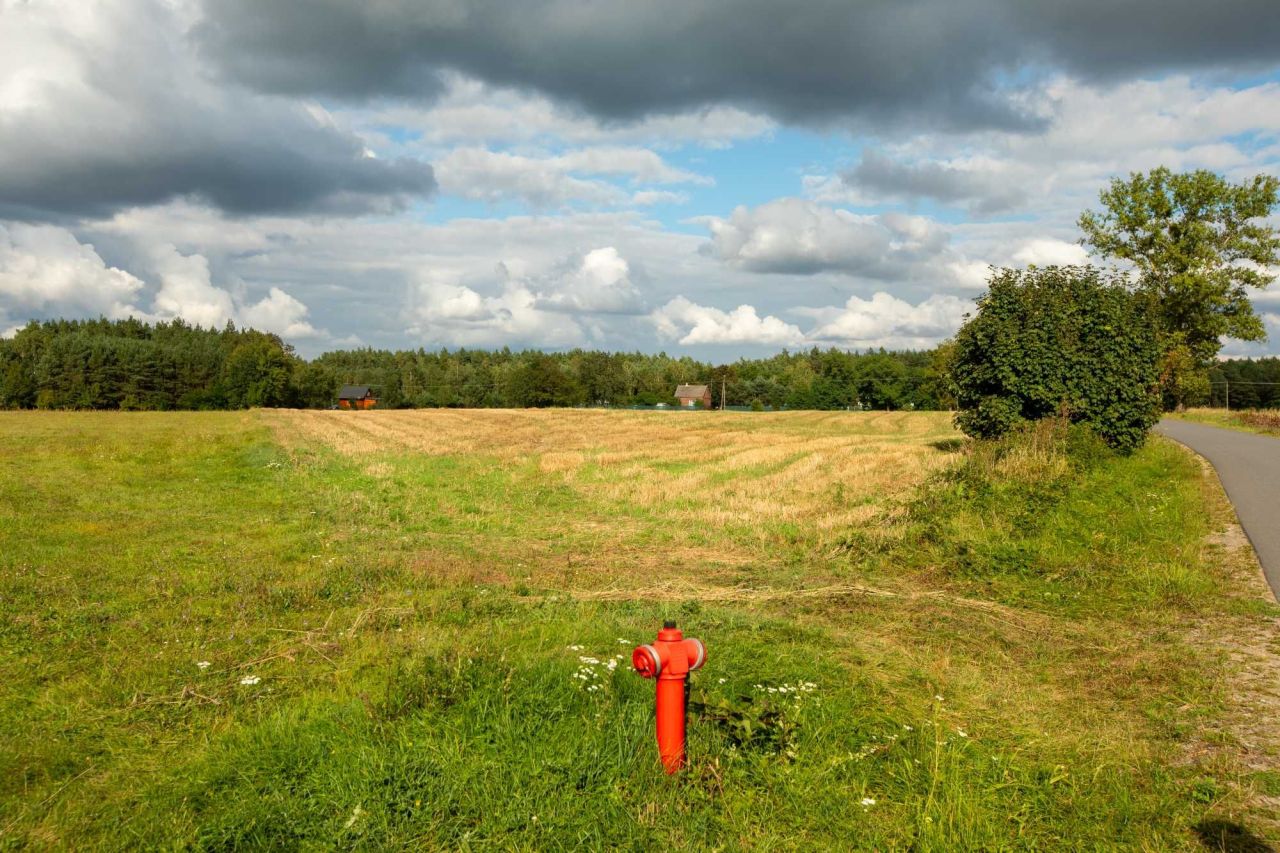 Działka rolno-budowlana Lasek. Zdjęcie 5
