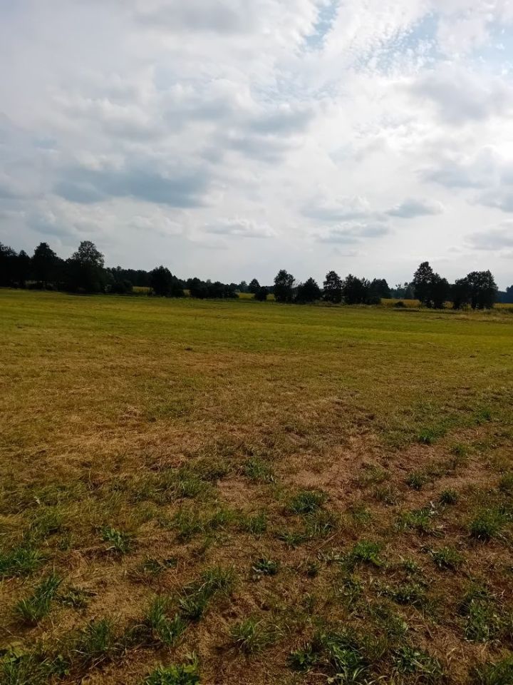 Działka rolna Giełczynek. Zdjęcie 7