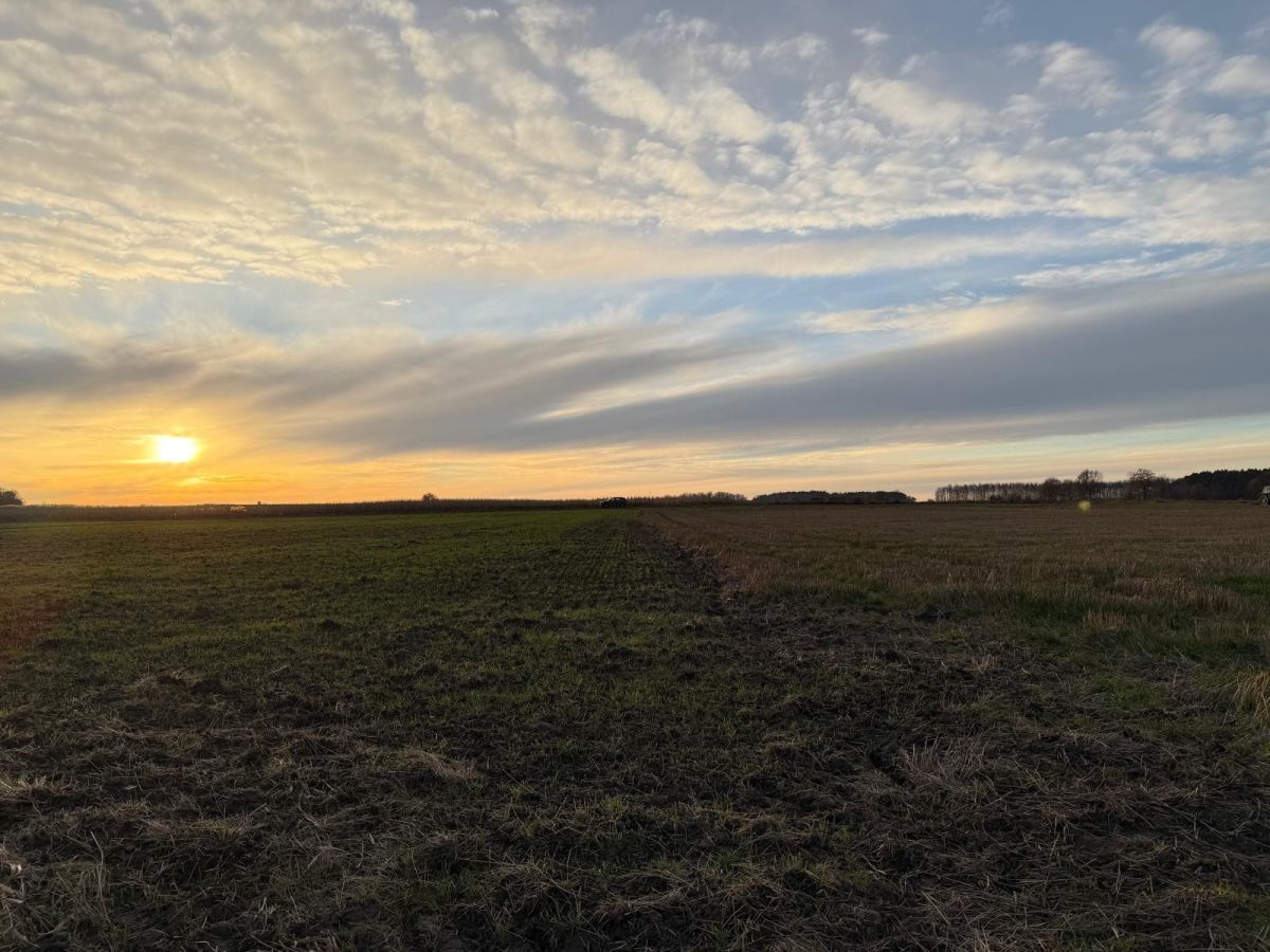 Działka rolna Oleśniczka. Zdjęcie 11