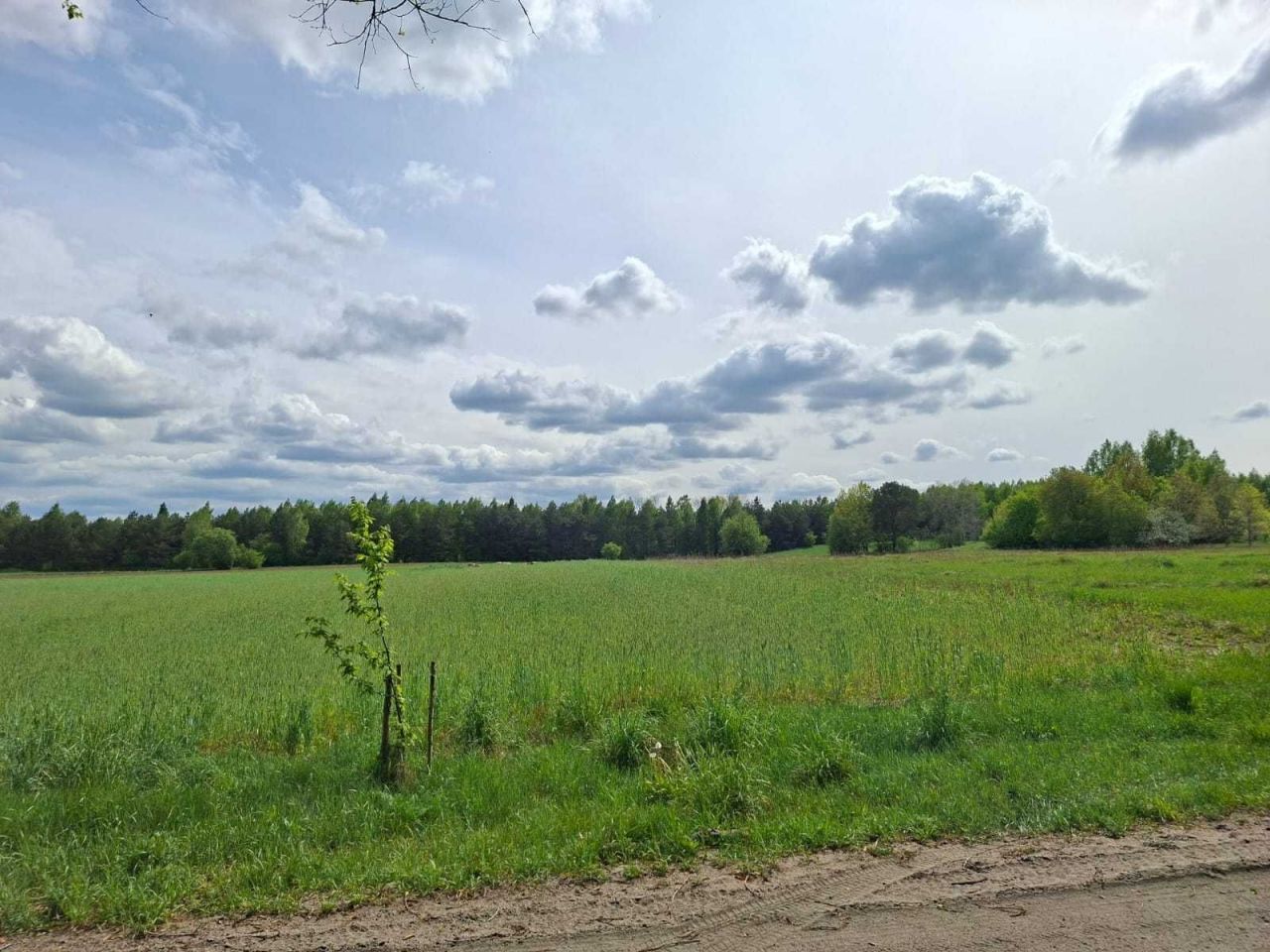 Działka rolna Łukta. Zdjęcie 5