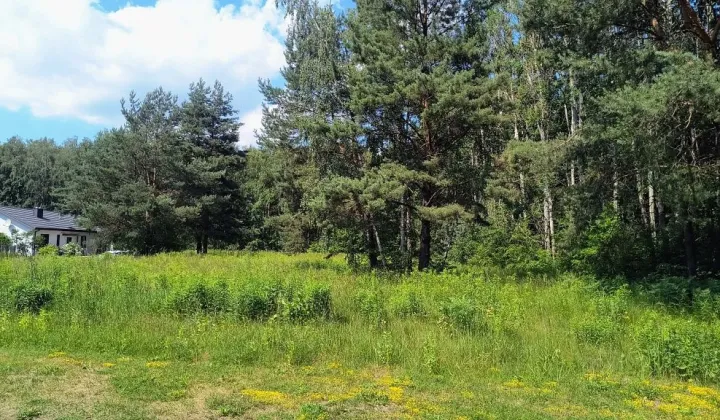 Działka rolno-budowlana Łask Kolumna, Wronowice osiedle
