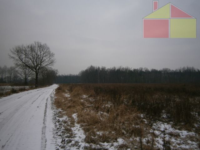 Działka inwestycyjna Żary. Zdjęcie 1