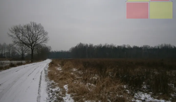 Działka inwestycyjna Żary