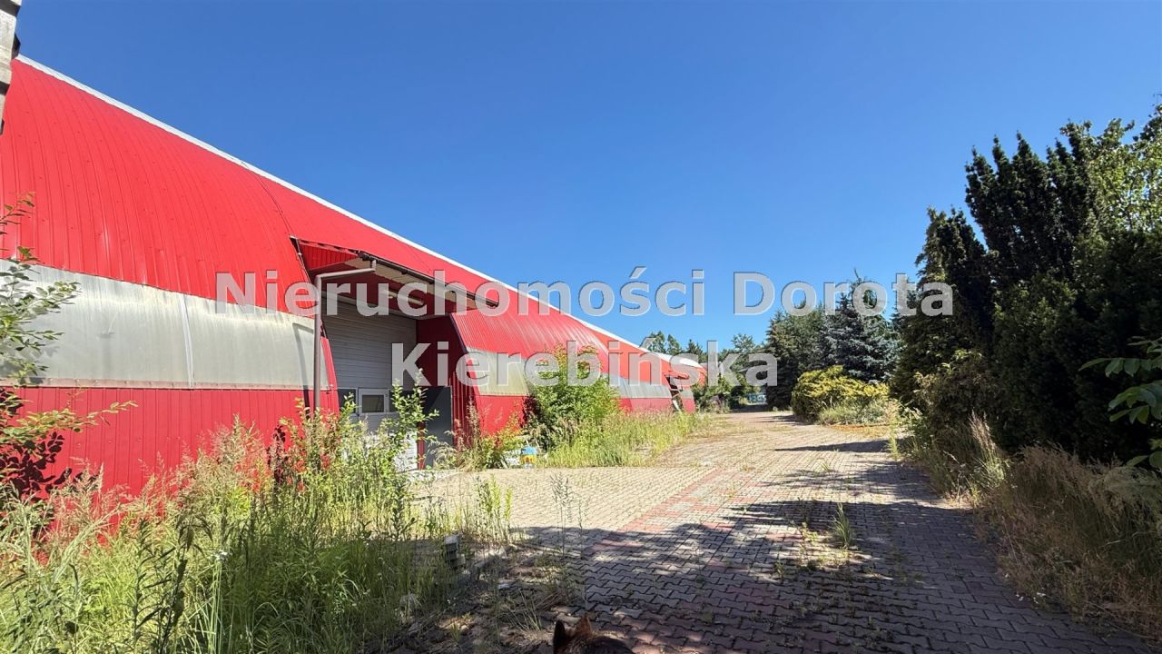 Hala/magazyn Ujazd. Zdjęcie 2