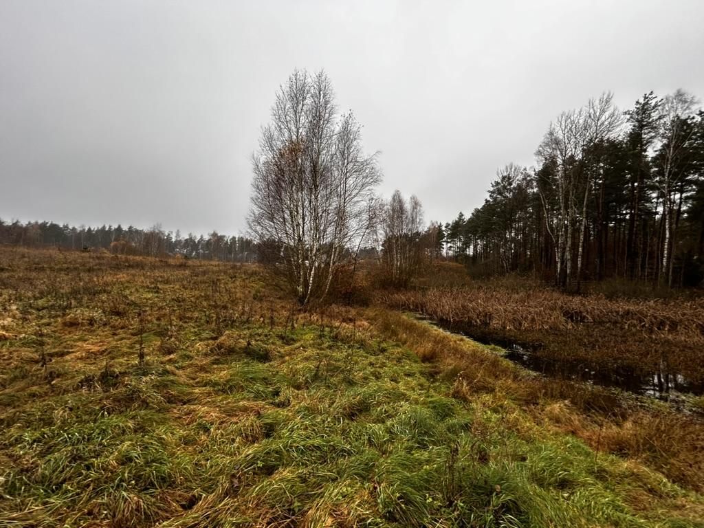 Działka budowlana Szczodrowo, ul. Brzozowa. Zdjęcie 11