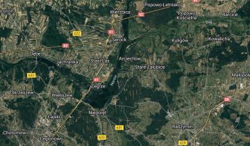 Działka rod Rynia, ul. Główna