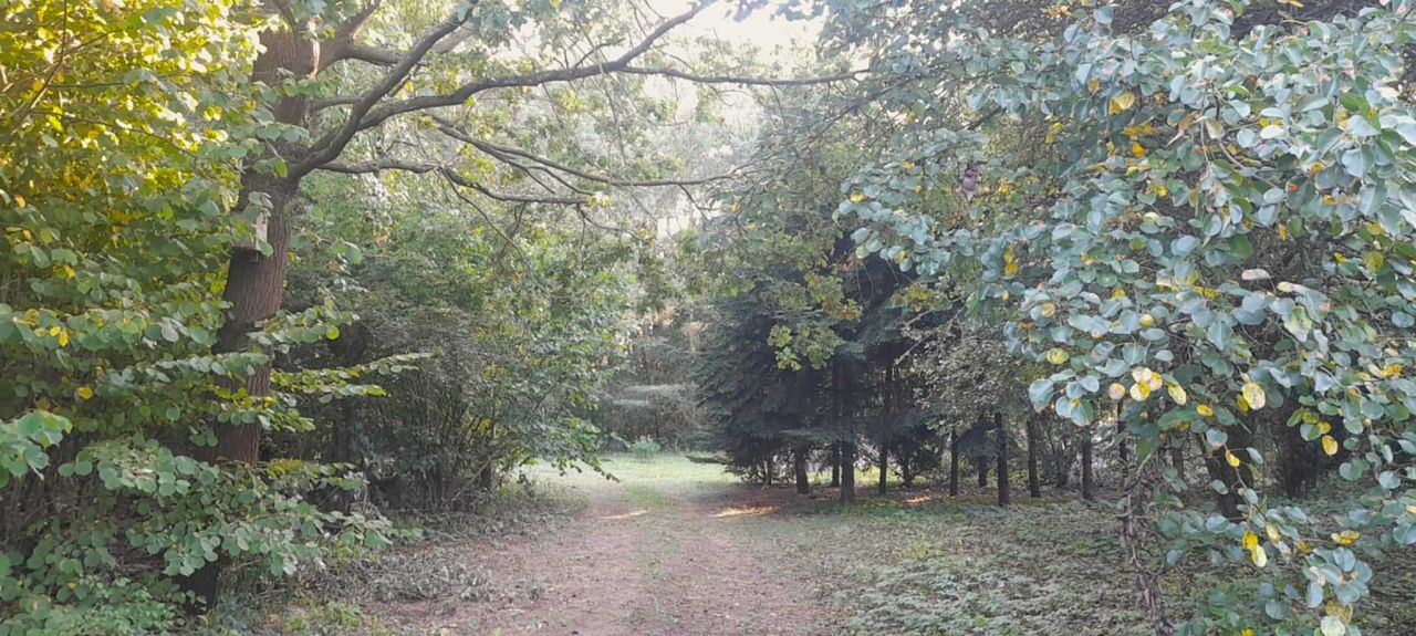 Działka inwestycyjna Maszewo Duże. Zdjęcie 4