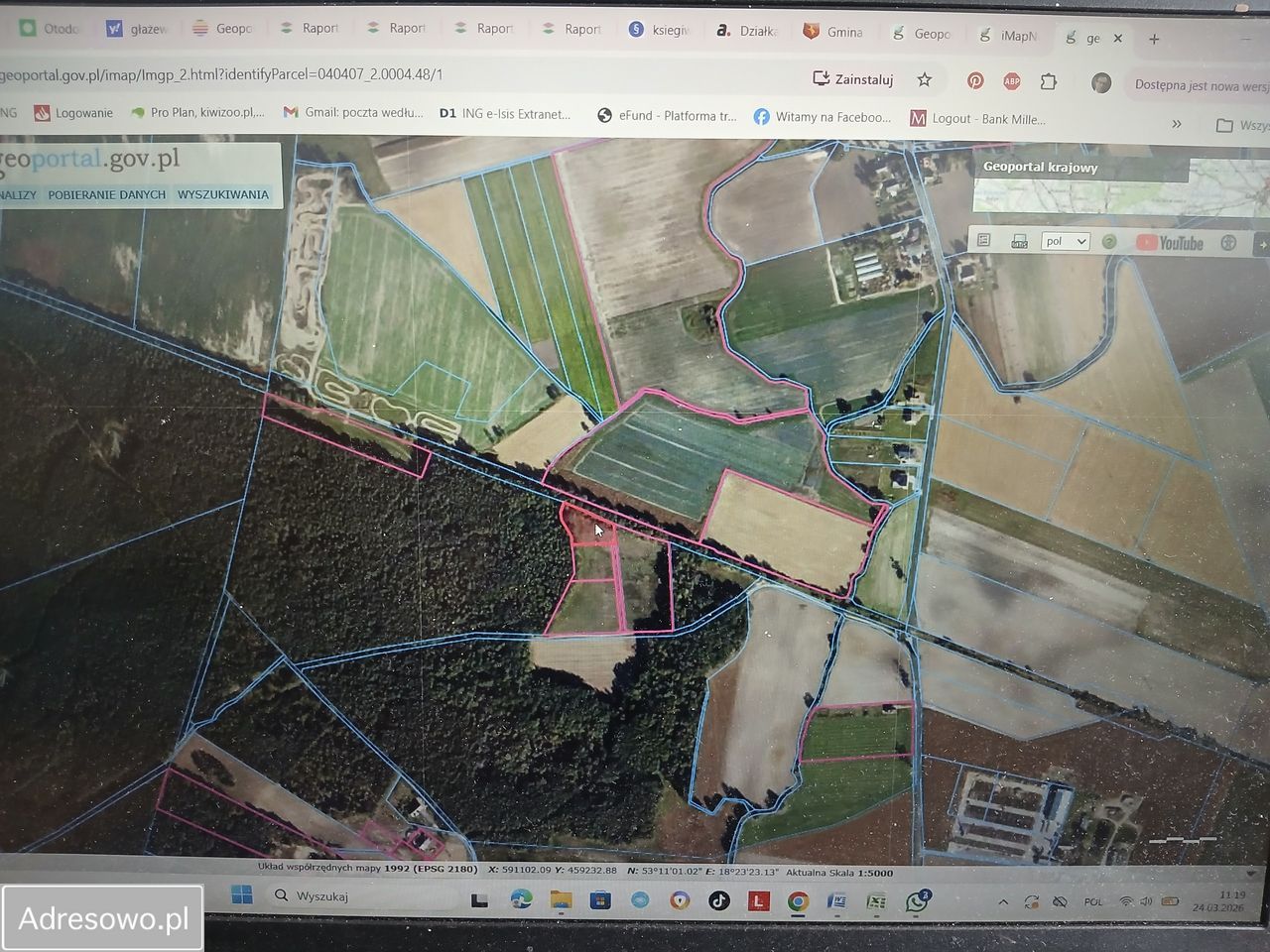 Działka rolna Głażewo. Zdjęcie 2