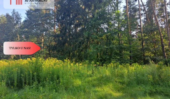 Działka budowlana Miękinia, ul. Leśna