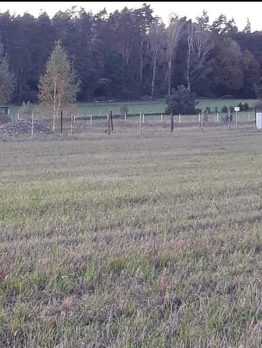 Działka budowlana Wolwark Laski. Zdjęcie 5