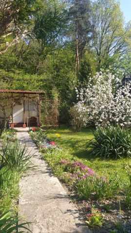 Działka rekreacyjna Jastrzębie-Zdrój. Zdjęcie 1