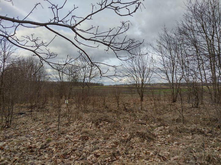 Działka budowlana Mielno. Zdjęcie 6