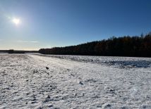 Działka rolna Folwarki Małe. Zdjęcie 2