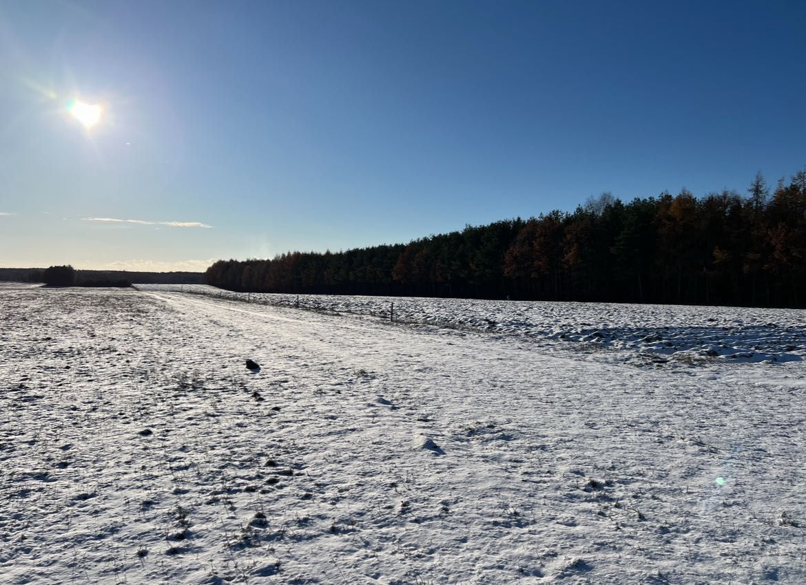 Działka rolna Folwarki Małe. Zdjęcie 3