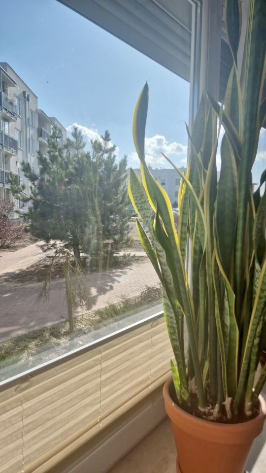 Mieszkanie 3-pokojowe Jabłonna, ul. Akademijna. Zdjęcie 2