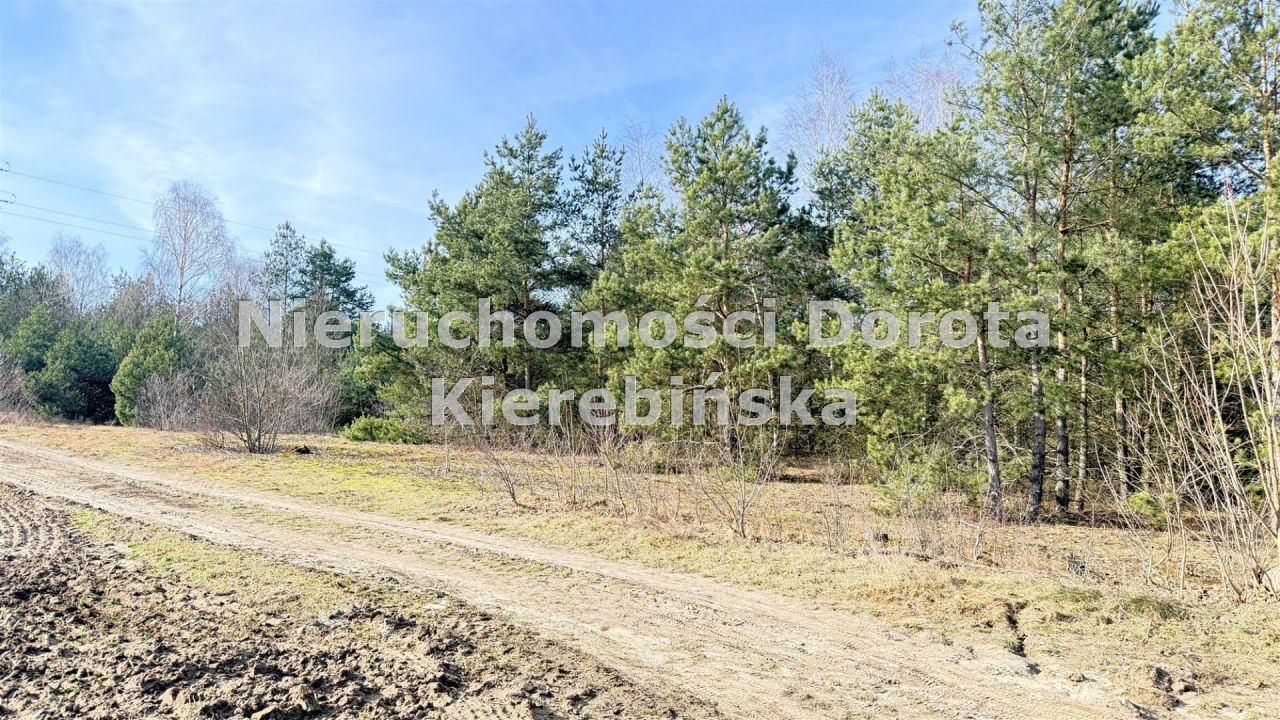 Działka budowlana Niewiadów. Zdjęcie 4