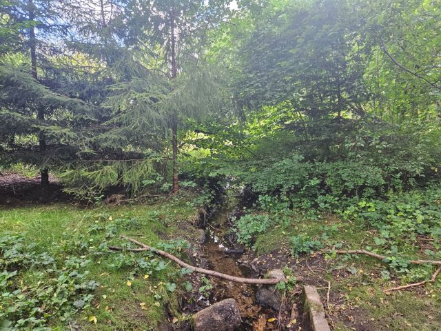 Działka budowlana Krosino, Krosino. Zdjęcie 1