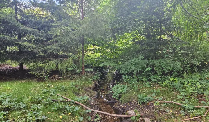 Działka budowlana Krosino, Krosino