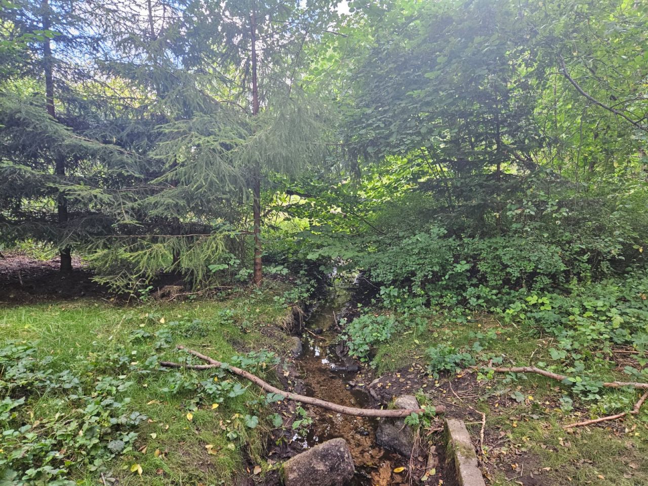 Działka budowlana Krosino, Krosino. Zdjęcie 1