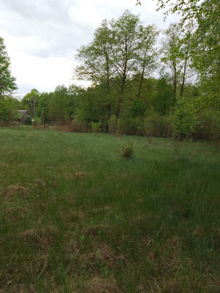 Działka rekreacyjna Adamówek, ul. Pańska. Zdjęcie 13