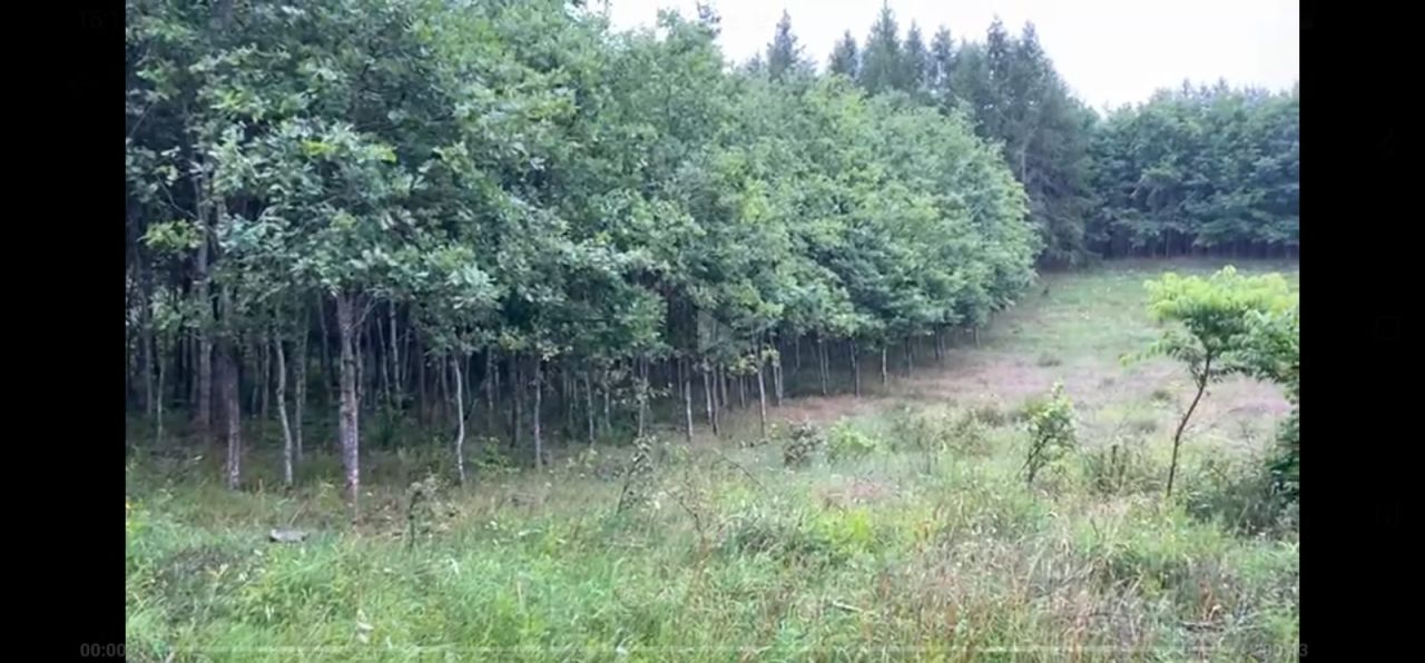 Działka rolna Unieszyno Unieszyniec. Zdjęcie 5