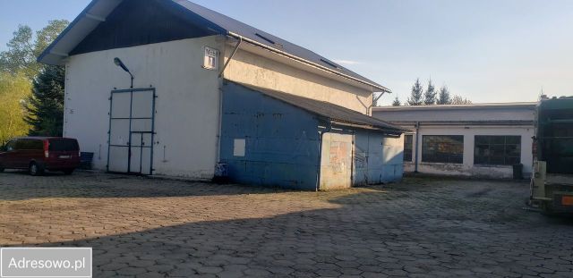 Hala/magazyn Nowy Dwór. Zdjęcie 1