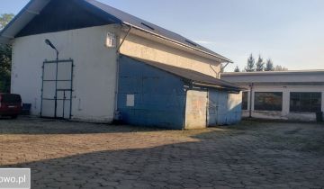 Hala/magazyn Nowy Dwór