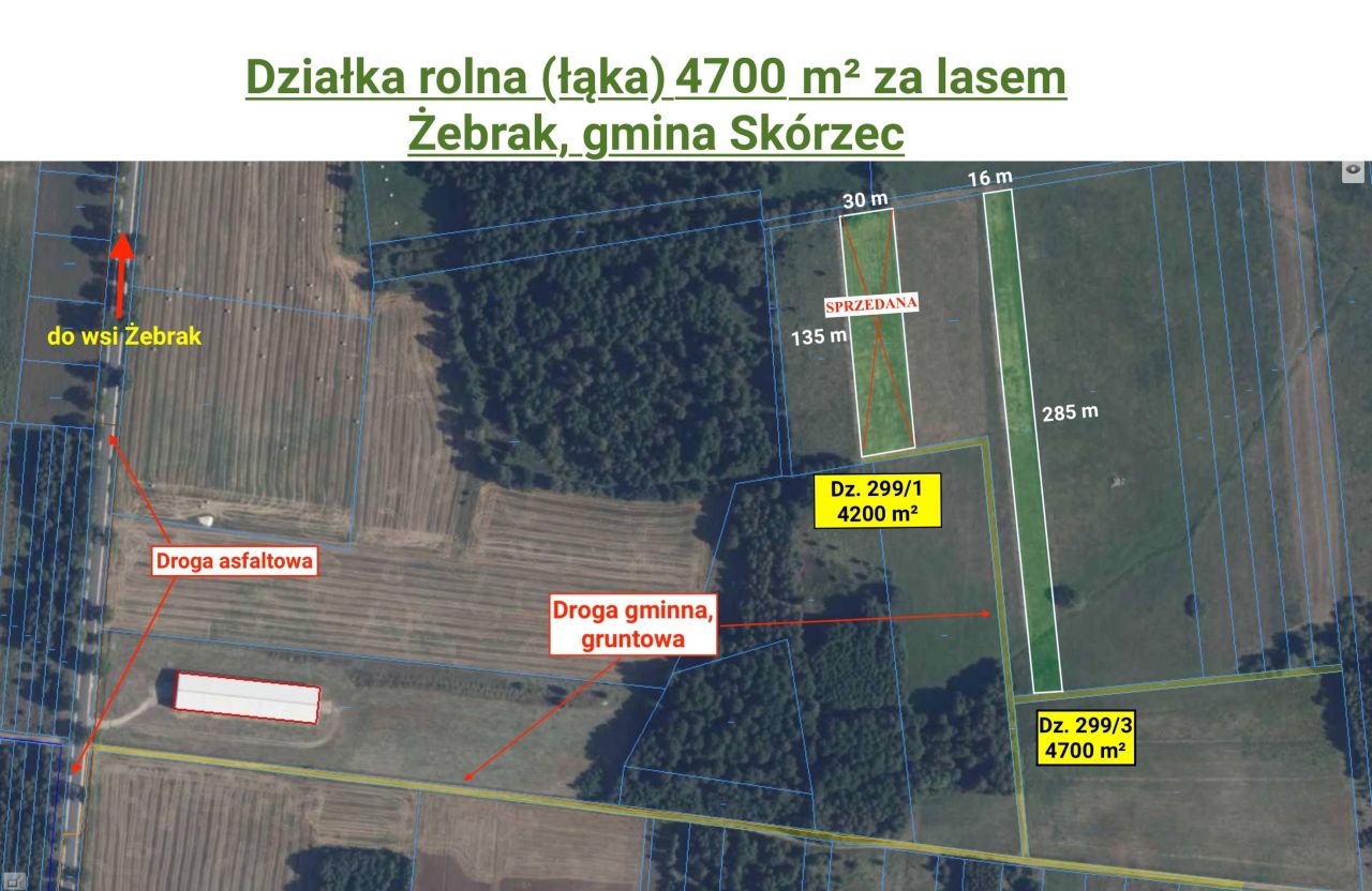 Działka rolna Żebrak. Zdjęcie 6